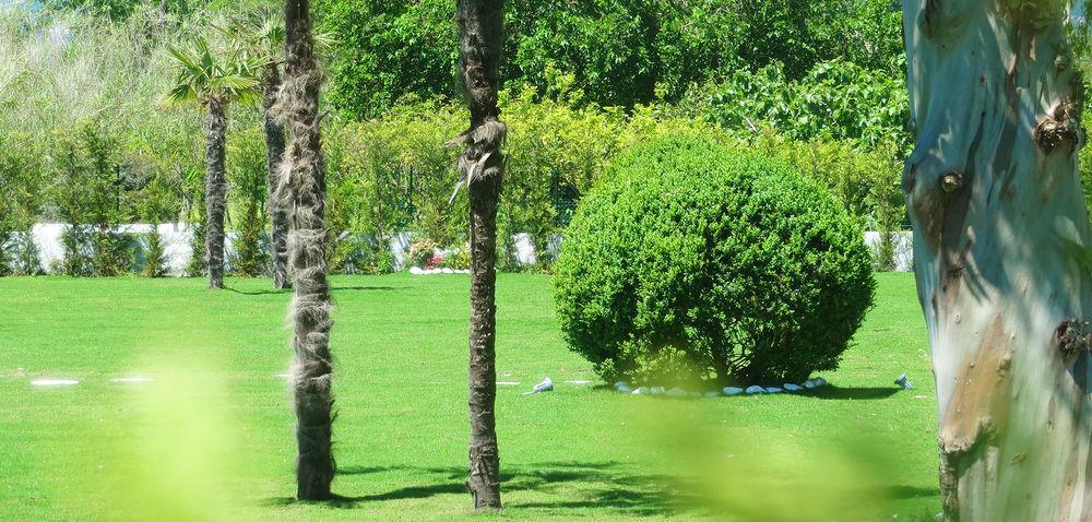 Hotel Eden Park Cilento Ispani Екстериор снимка